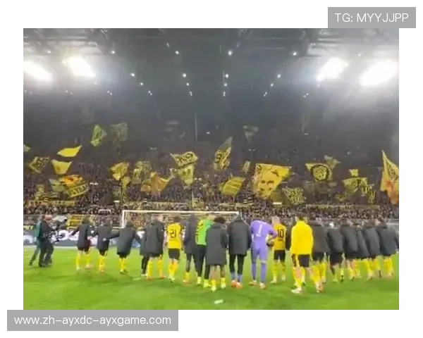 《德甲各球队球迷活动与现场视频回放精彩片段汇总》